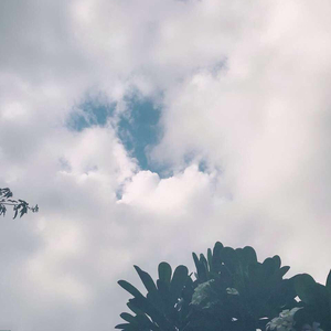 欧美老熟妇❌❌❌❌❌
