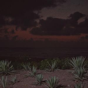 欧美老熟妇❌❌❌❌❌
