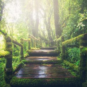 欧美老熟妇❌❌❌❌❌
